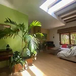 House Near Conil With A Tropical Garden And Pool