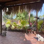 House Near Conil With A Tropical Garden And Pool