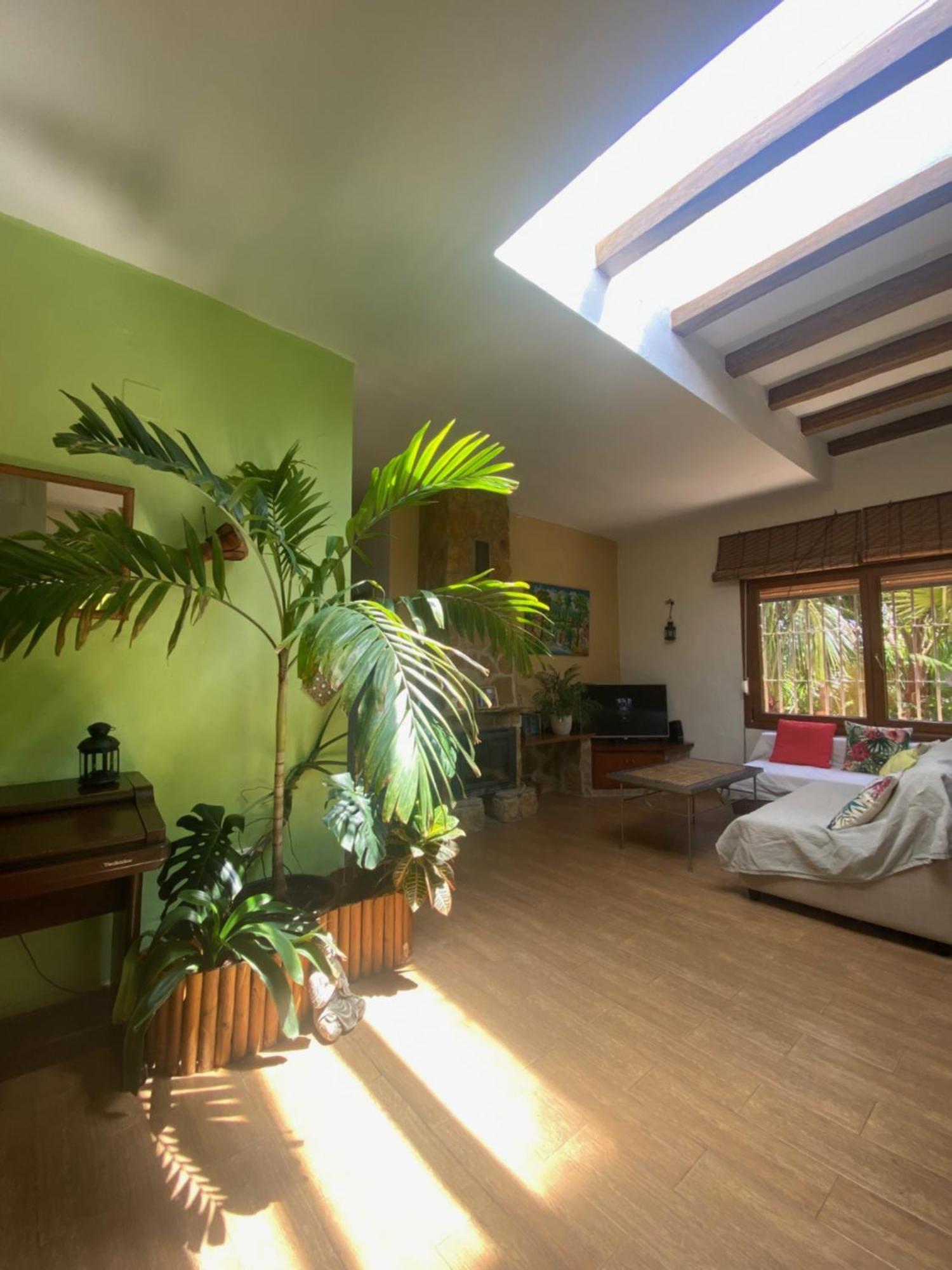 Ferienhaus House Near Conil With A Tropical Garden And Pool