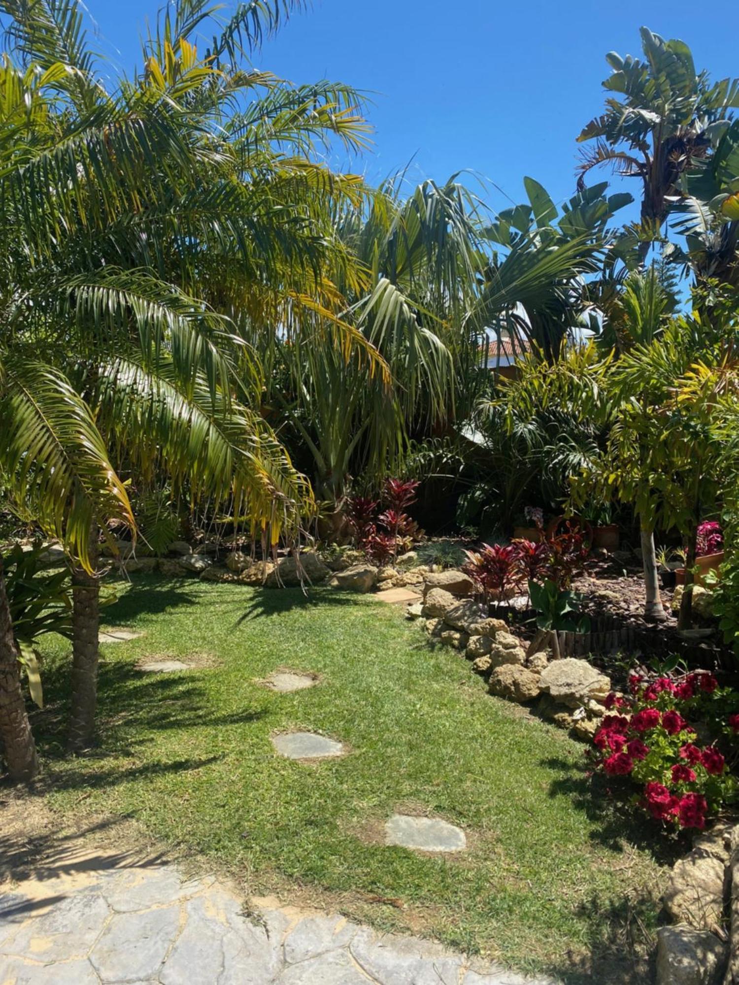 Ferienhaus House Near Conil With A Tropical Garden And Pool *