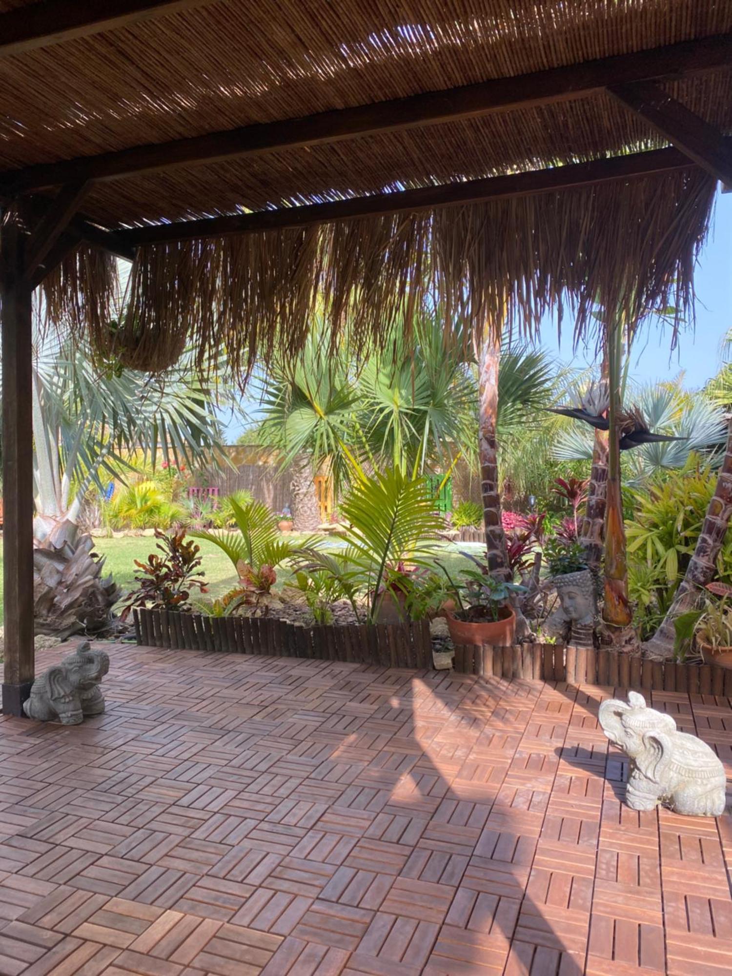 Ferienhaus House Near Conil With A Tropical Garden And Pool